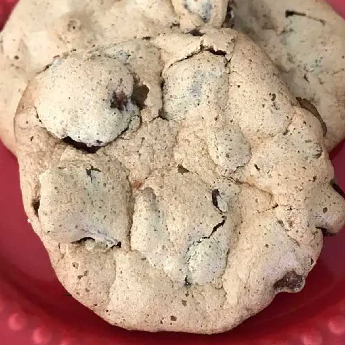 Travis House Cookies