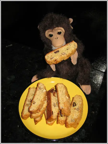 https://www.cookiemadness.net/wp-content/uploads/2007/02/monkeyeatingbiscotti.jpg