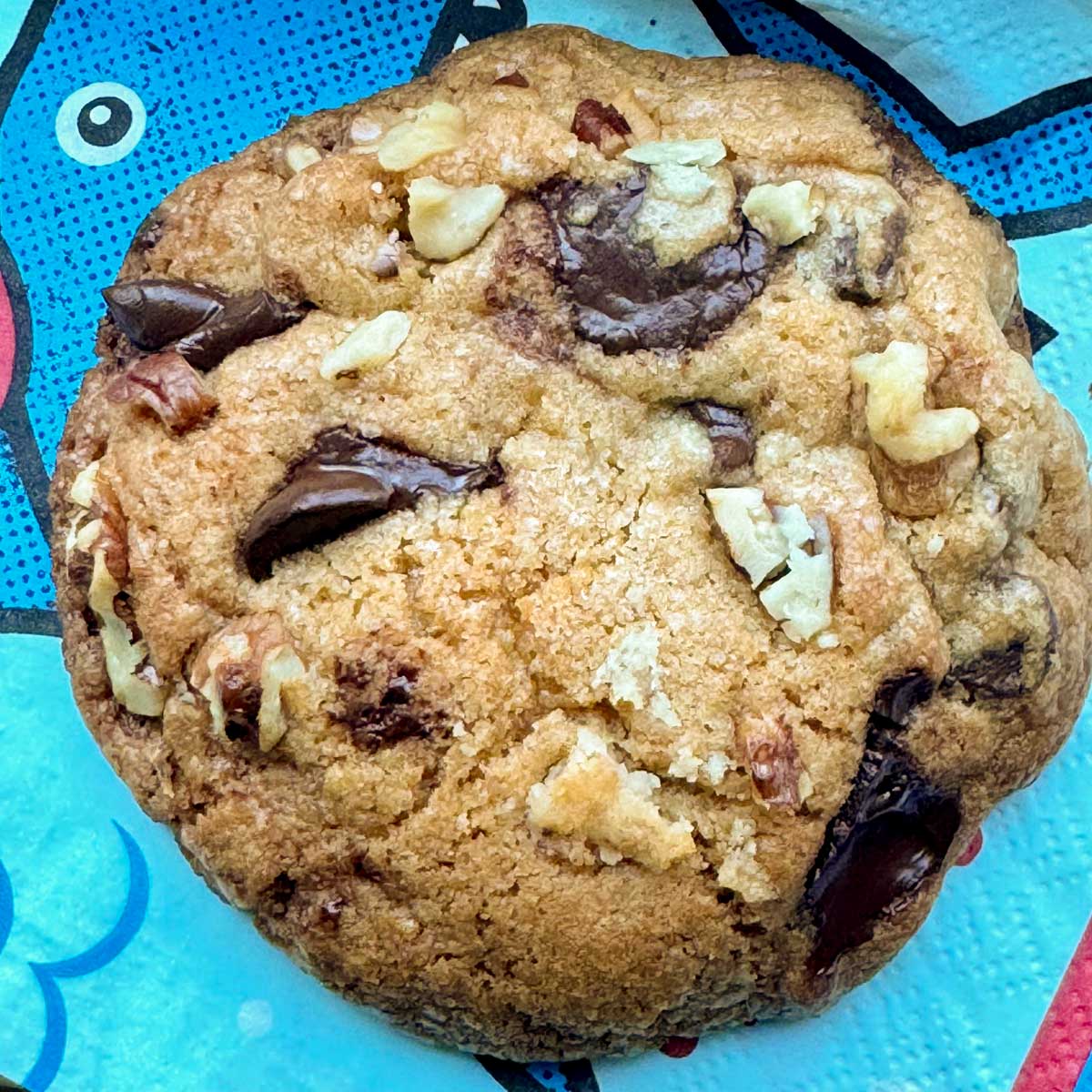 Big Ones Chocolate Chip Cookies