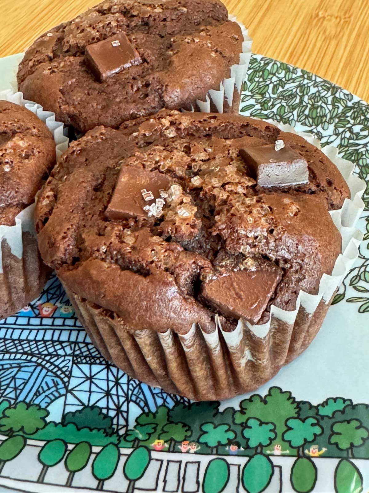 Double Chocolate Chunk Muffins