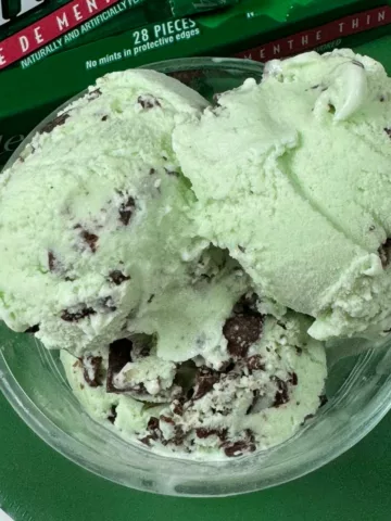 Chocolate Mint Chip Ice Cream