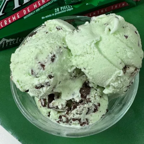 Chocolate Mint Chip Ice Cream