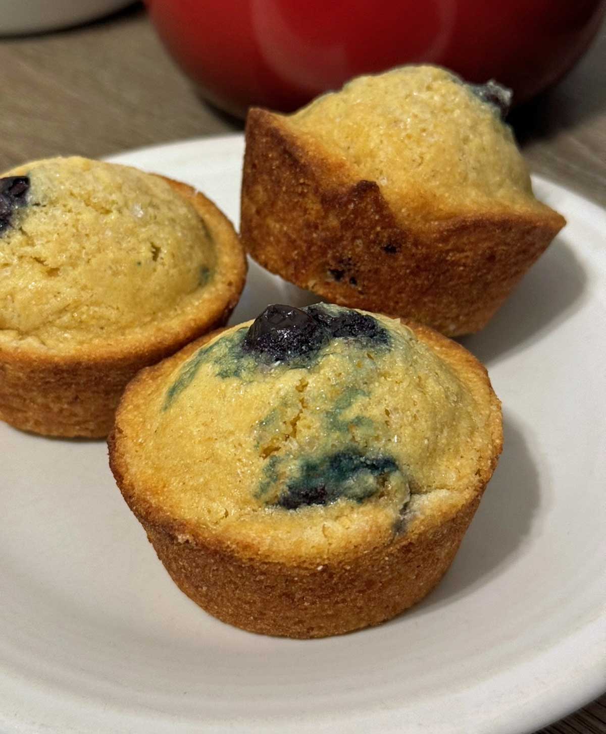 Blueberry Corn Muffins