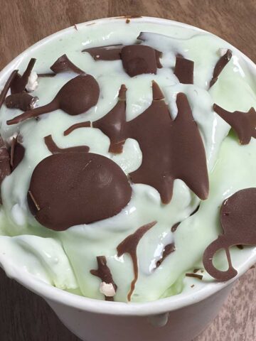 No churn mint ice cream made with condensed milk