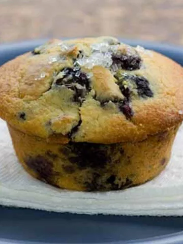 Blueberry Protein Muffin