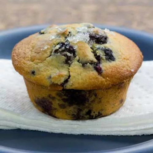 Blueberry Protein Muffin