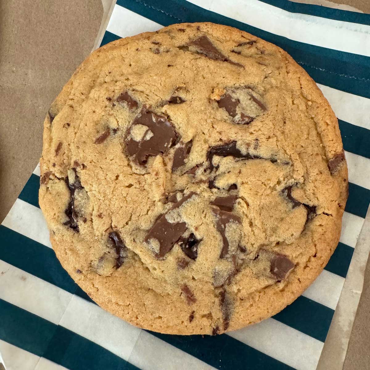 Giant Soft Peanut Butter Chocolate Chunk Cookies - Cookie Madness