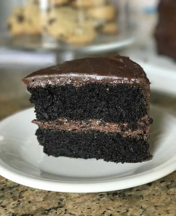 Best Double Chocolate Cake with Black Velvet Icing | Alexandra's Kitchen
