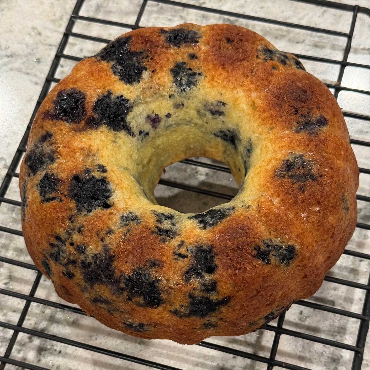 No Buttermilk Blueberry Bundt Cake  baked in a 6-cup silicone Bundt pan.