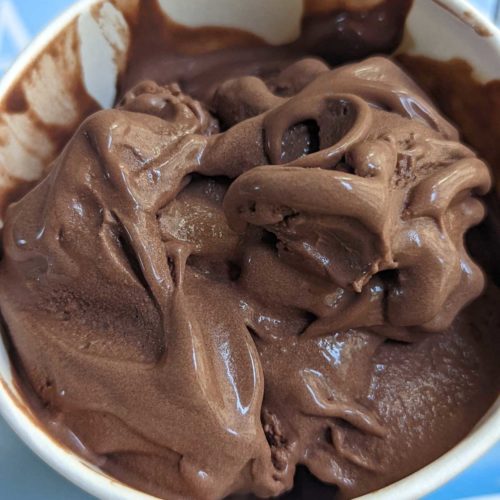 Coconut Milk Chocolate Ice Cream