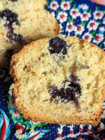 Fresh blueberry muffins