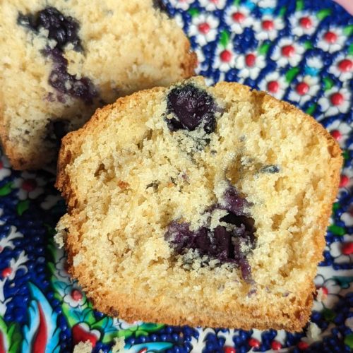 Fresh blueberry muffins