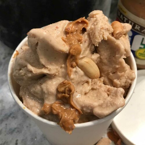 Oat Milk Peanut Butter Ice Cream