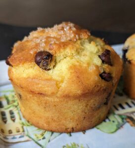 Whole Cottage Cheese Muffin