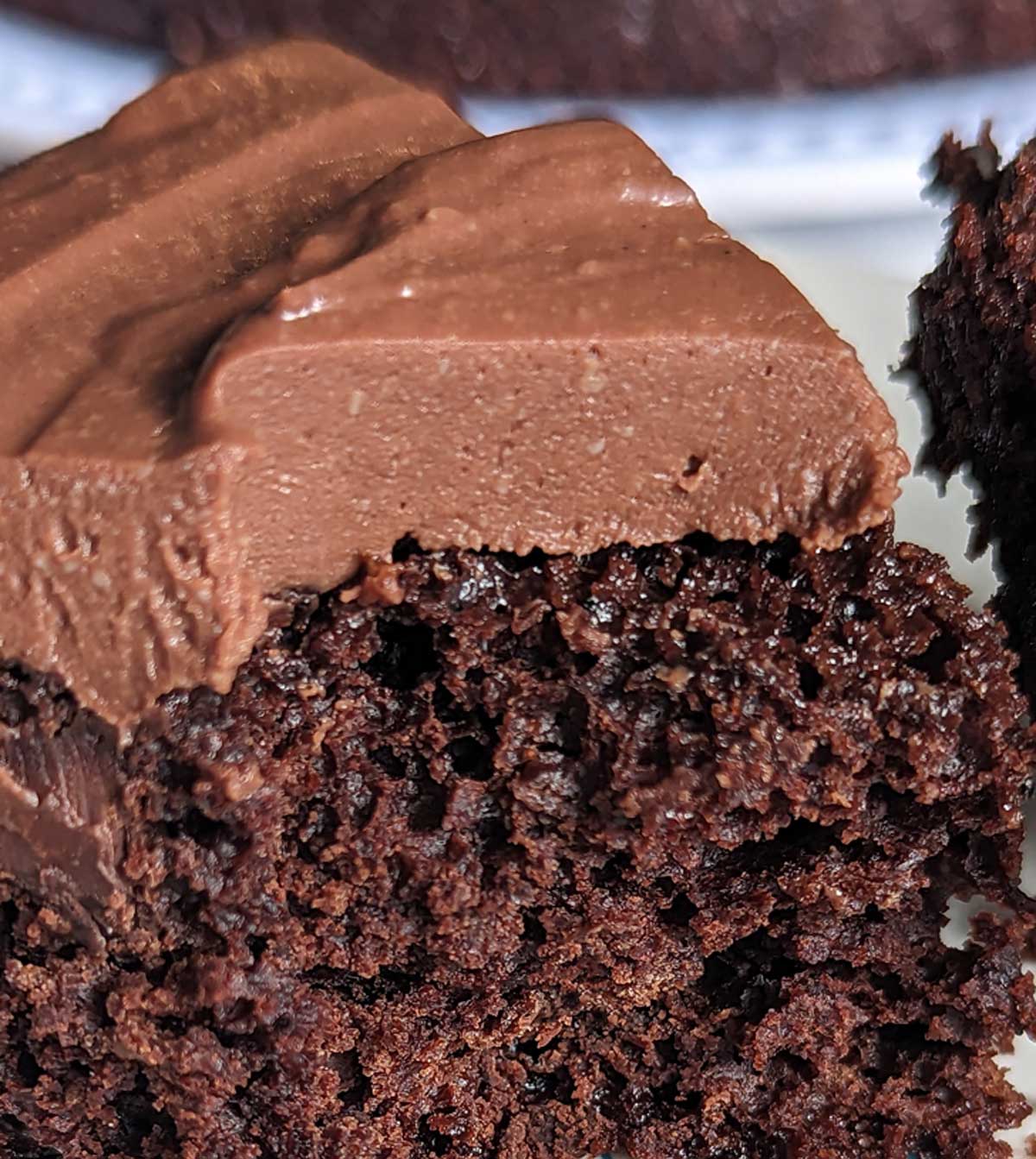 Low-Fat, High Protein, Chocolate Cake - The Diet Chef
