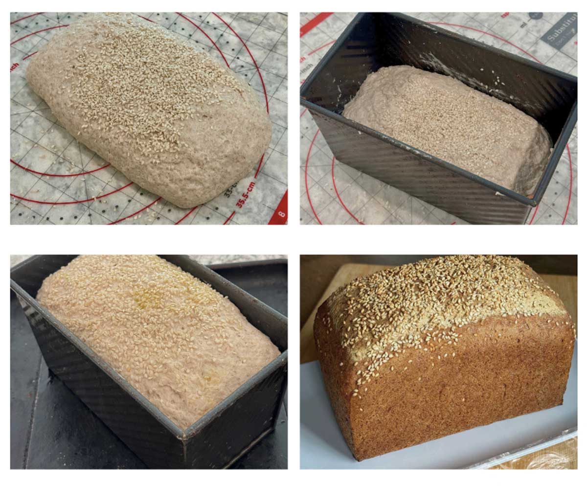 gluten-free sorghum bread 