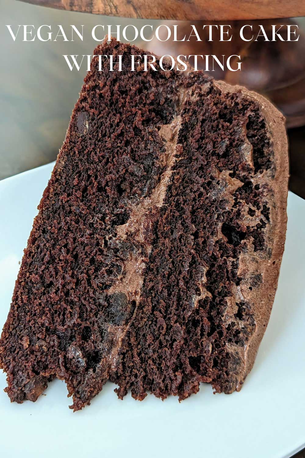 5 ingredient vegan chocolate cake with cocoa powder