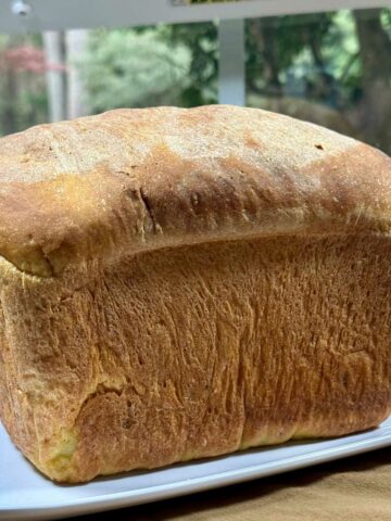 Dal Bread Loaf