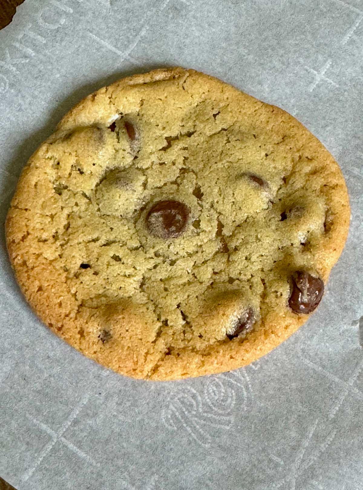 Killer Chocolate Chip Cookies baked on a stone
