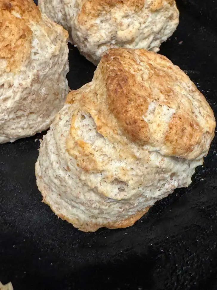 Sky-High Biscuits with whole wheat flour