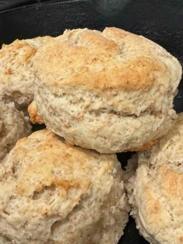Whole wheat sky-high biscuits in a cast iron skillet