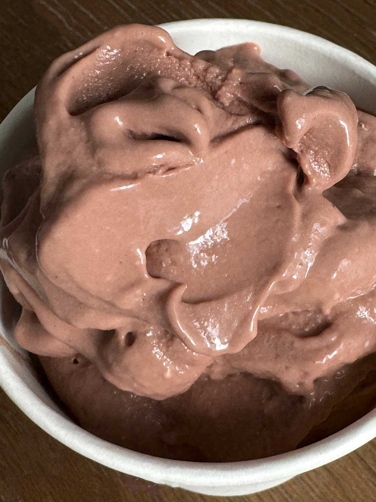 Chocolate Tofu Ice Cream