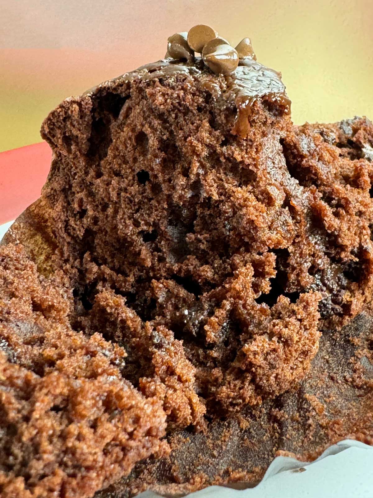 Double Chocolate Muffin Texture without pudding mix.