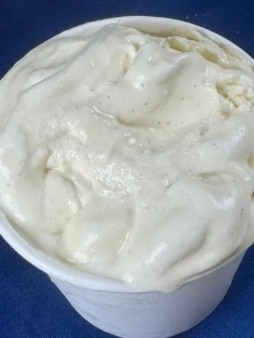 Mexican Vanilla Ice Cream