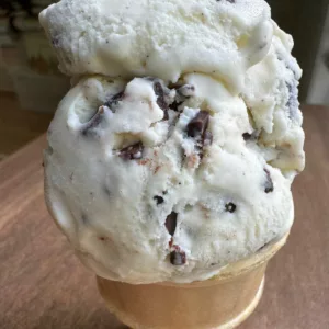 Baskin Robbins Chocolate Chip Ice Cream Copycat