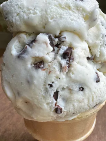 Baskin Robbins Chocolate Chip Ice Cream Copycat