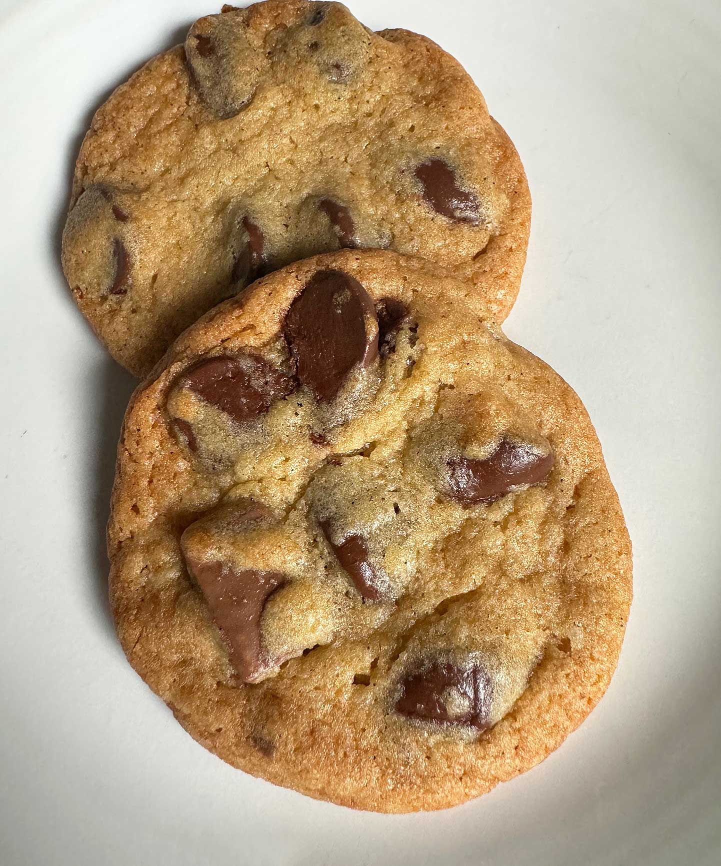 Soft and chewy chocolate chip cookies