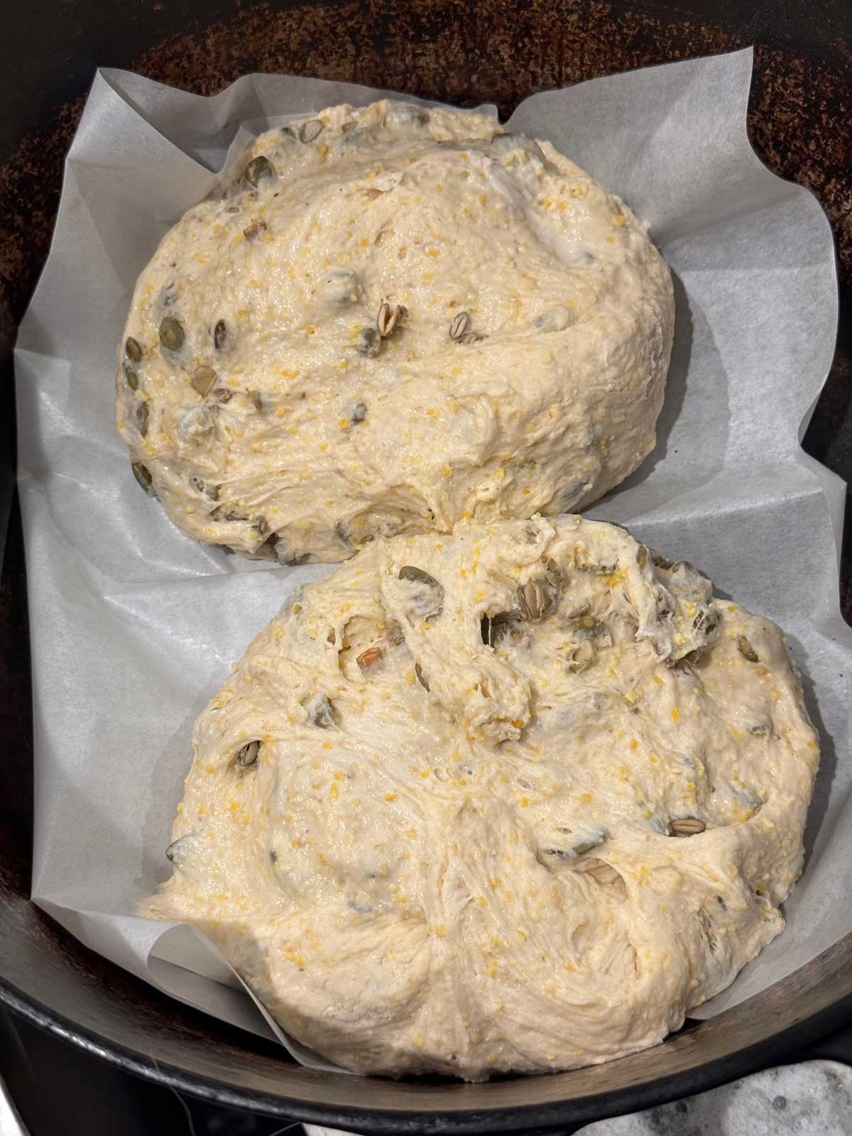 Two unbaked loaves in a Dutch oven on parchment paper.