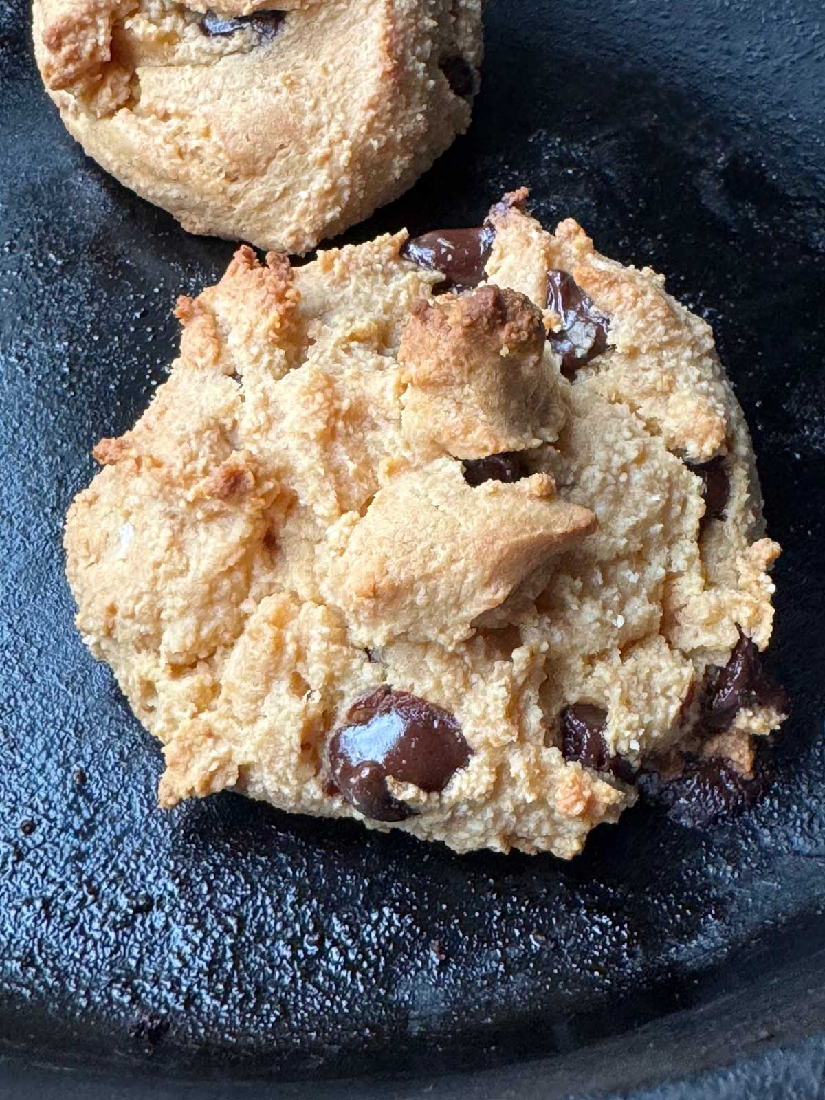 Birch Benders maple syrup scone with chocolate chips.