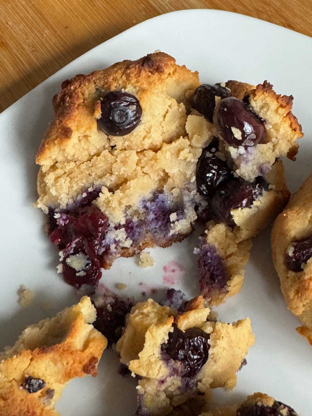 Protein Powder Scones with blueberries showing texture.