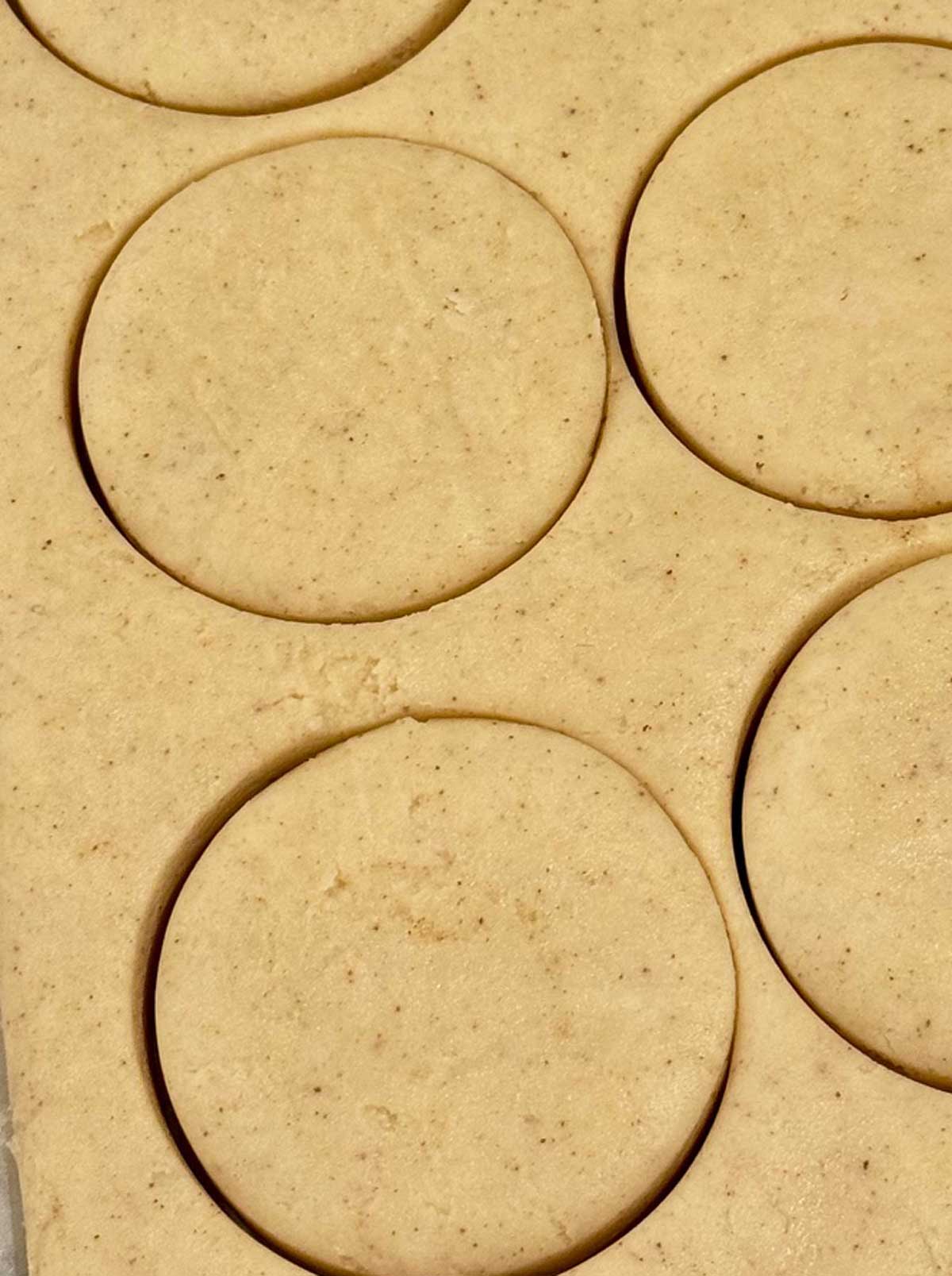 Shortbread circles being punched out of dough.