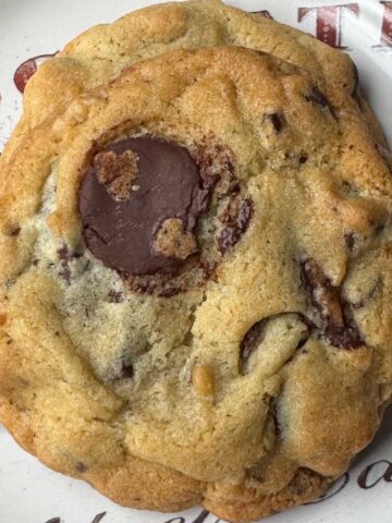 Flour Bakery Chocolate Chip Cookie Recipe