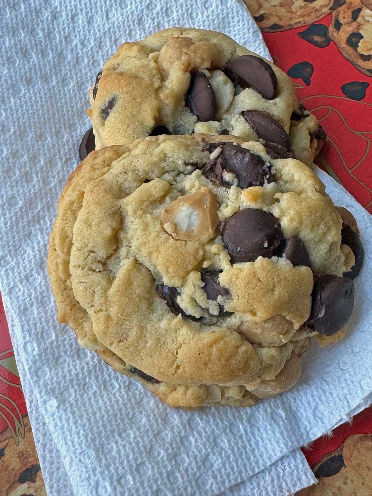 Macadamia Nut Chocolate Chip Ecstasies Cookie recipe